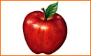 Pintar una Manzana Usando Photoshop CS