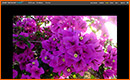 Photoshop Express el Photoshop en L�nea